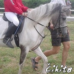 cikita2.jpg